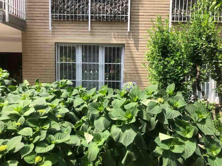 3 Bedrooms Flat Fully Equipped With Pool & Tennis Appartement *